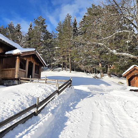 Gamlestugu Greivjord Fjellgard Villa Tuddal Buitenkant foto