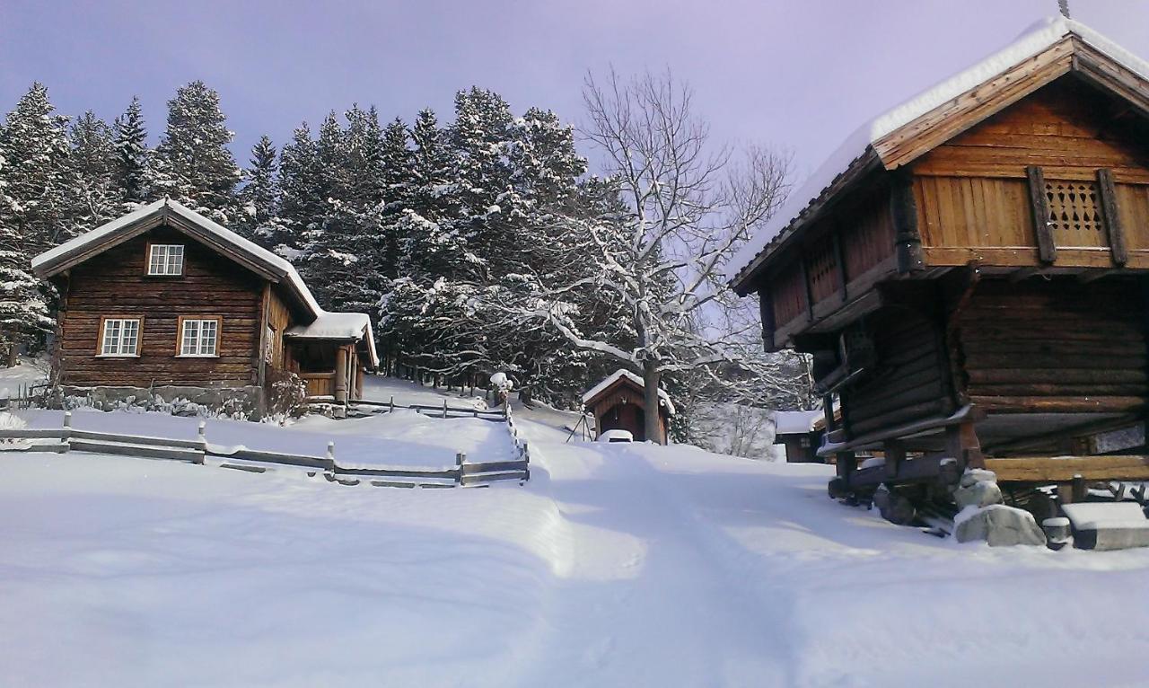 Gamlestugu Greivjord Fjellgard Villa Tuddal Buitenkant foto