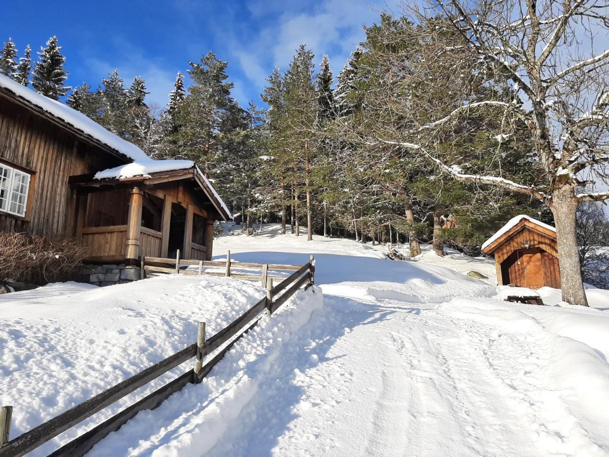 Gamlestugu Greivjord Fjellgard Villa Tuddal Buitenkant foto