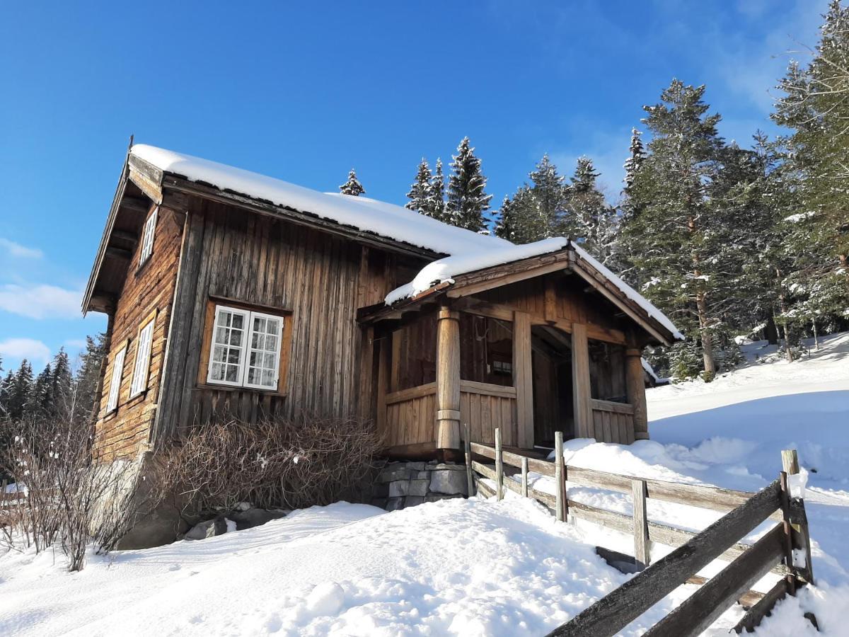 Gamlestugu Greivjord Fjellgard Villa Tuddal Buitenkant foto