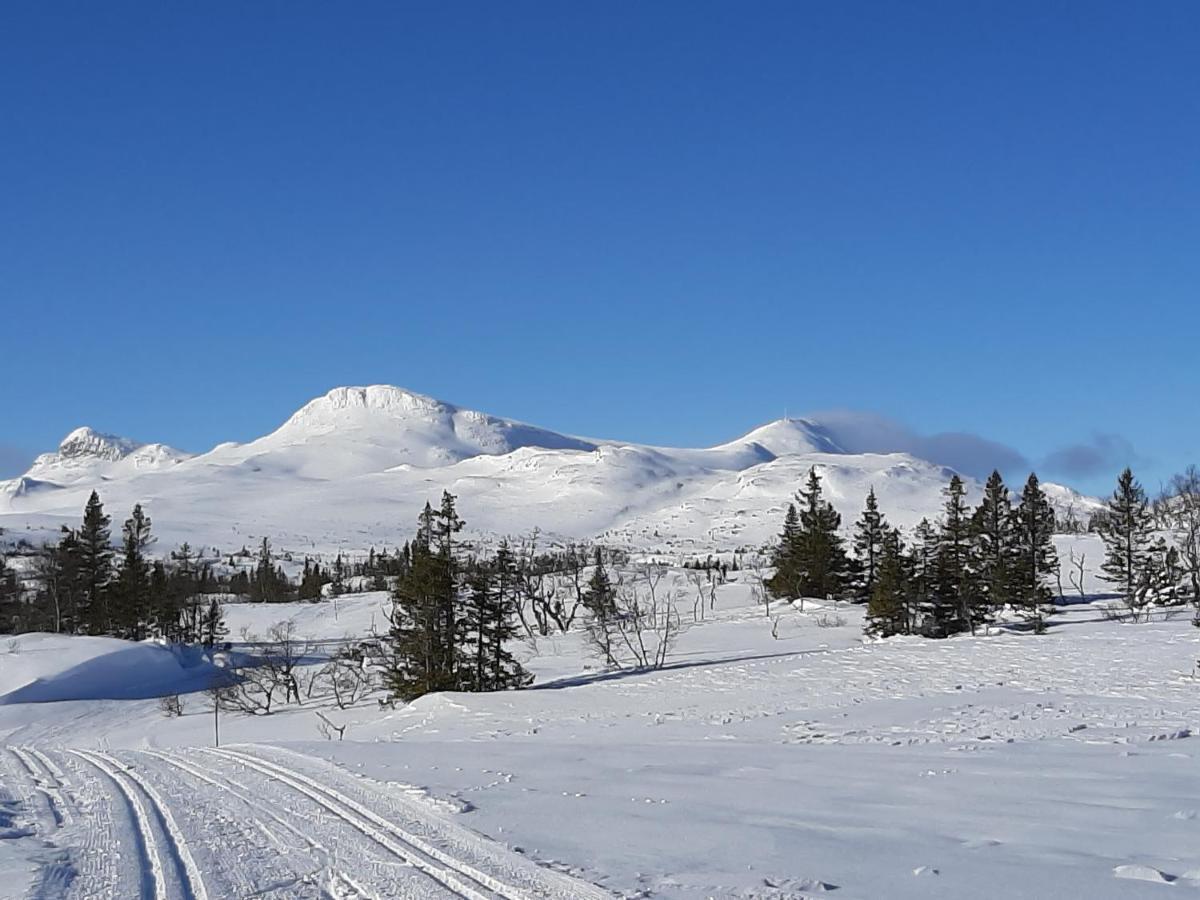 Gamlestugu Greivjord Fjellgard Villa Tuddal Buitenkant foto